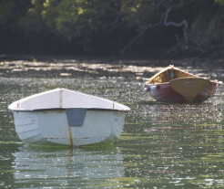 pnycboats2